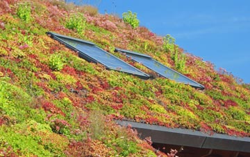 Calvo living roof systems