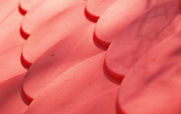 Calvo plastic roof costs