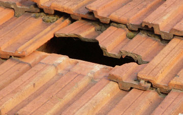 roof repair Calvo, Cumbria