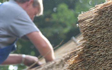 professional Calvo thatchers