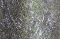 Calvo fibreglass roof work