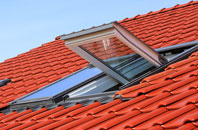 Calvo roof window